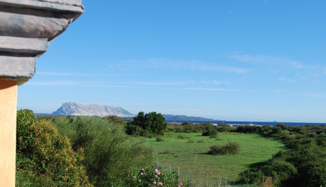 Residence Oasi E Oasi Blu San Teodoro  Zewnętrze zdjęcie
